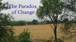 Paradox of Personal Change